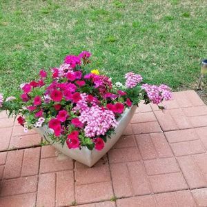 Meet your Posher, Shara